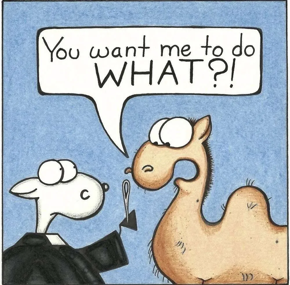 Picture art of a man with a needle held up to a camel